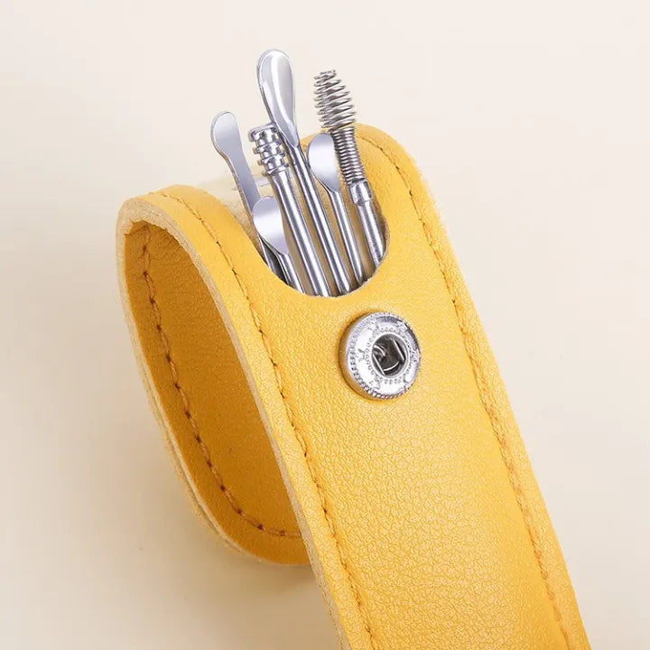 6 Piece Stainless Steel Ear Wax Removal Tool Set with Storage Case