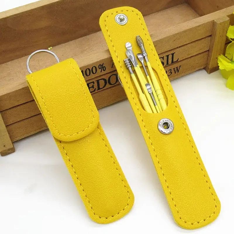 6 Piece Stainless Steel Ear Wax Removal Tool Set with Storage Case